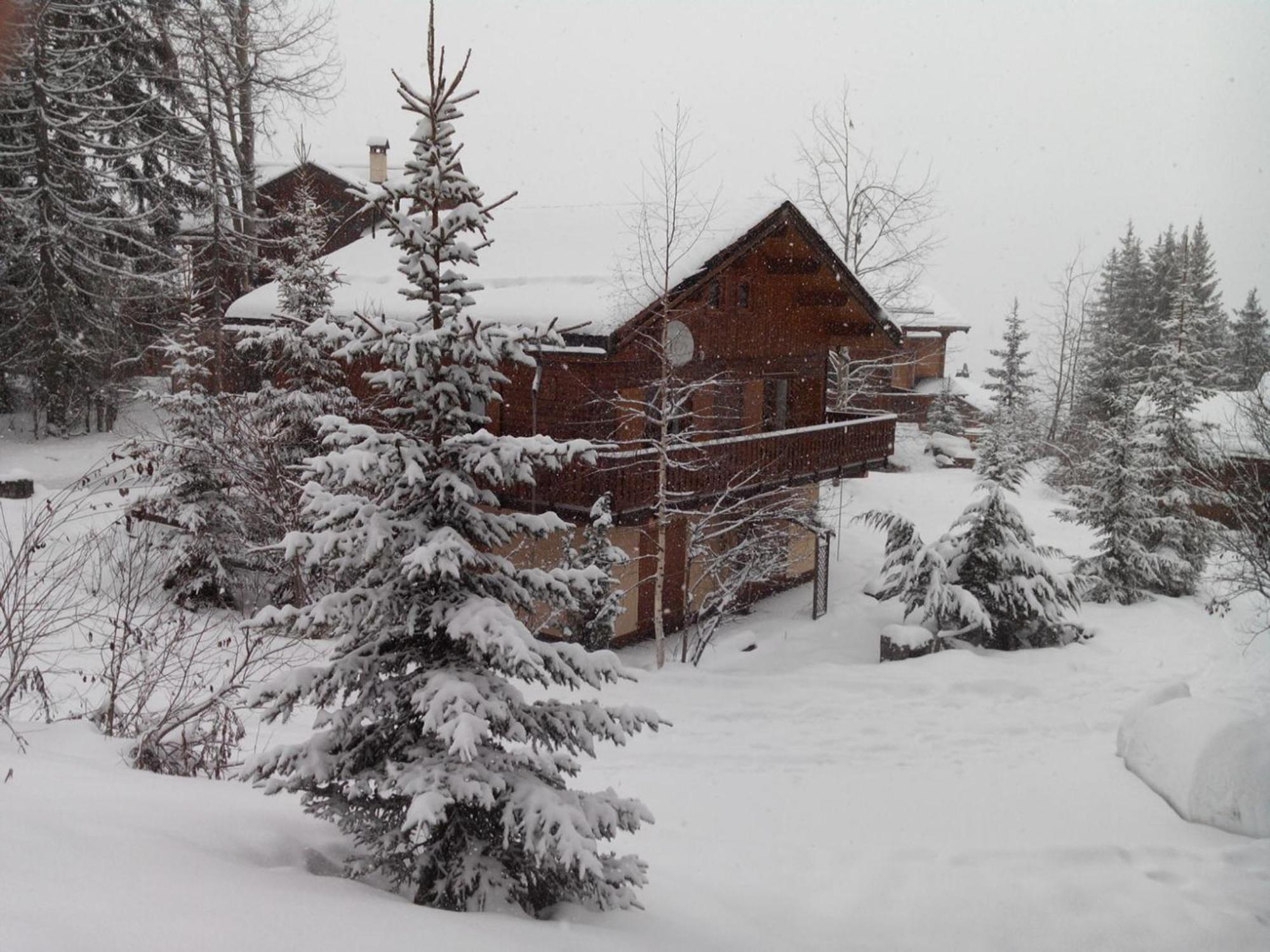 Apartment 2p Avec Terrasse Et Animaux - La Tania - Fr-1-513-95 Courchevel